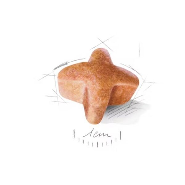 German Shepherd Adult Dry Food For Dog - Image 2