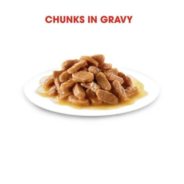 Medium Puppy Wet Food For Dog - Image 2