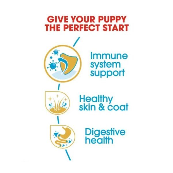 Shih Tzu Puppy Dry Food For Dog - Image 4