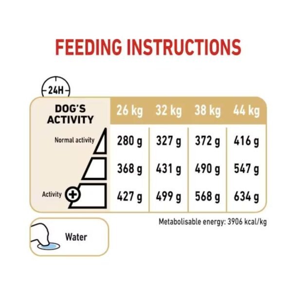 German Shepherd 5+ Dry Food For Dog - Image 3