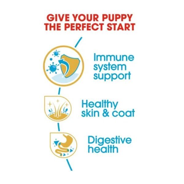 Shih Tzu Puppy Dry Food For Dog - Image 3