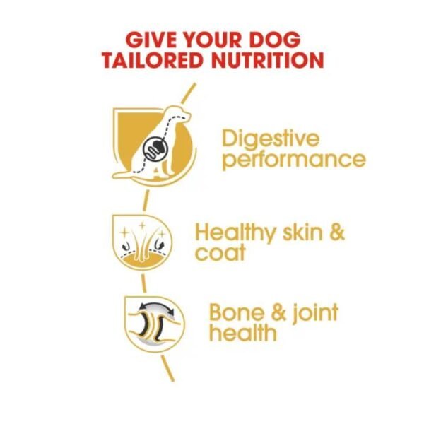 German Shepherd Adult Dry Food For Dog - Image 3