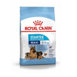 Royal Canin Starter Mother and Babydog Maxi Dog Food (Adult Weight 26 - 44 kg)