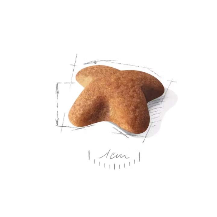 Beagle Adult Dry Food For Dog - Image 2