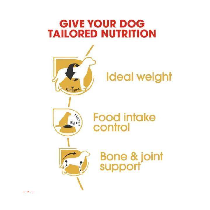 Beagle Adult Dry Food For Dog - Image 3