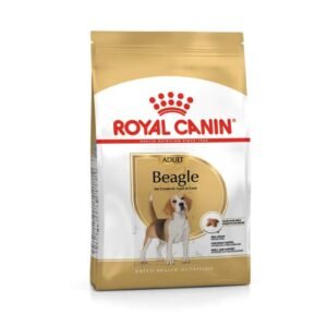 Beagle Adult Dry Food For Dog