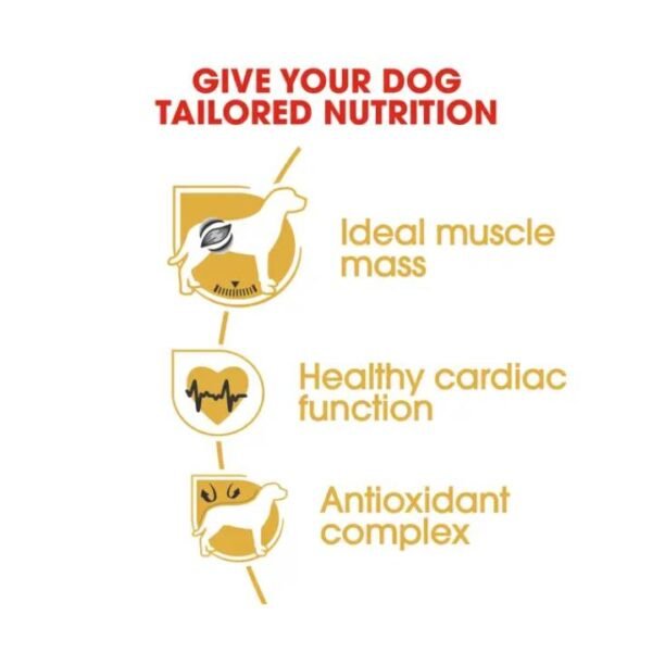 Boxer Adult Dry Food For Dog - Image 3