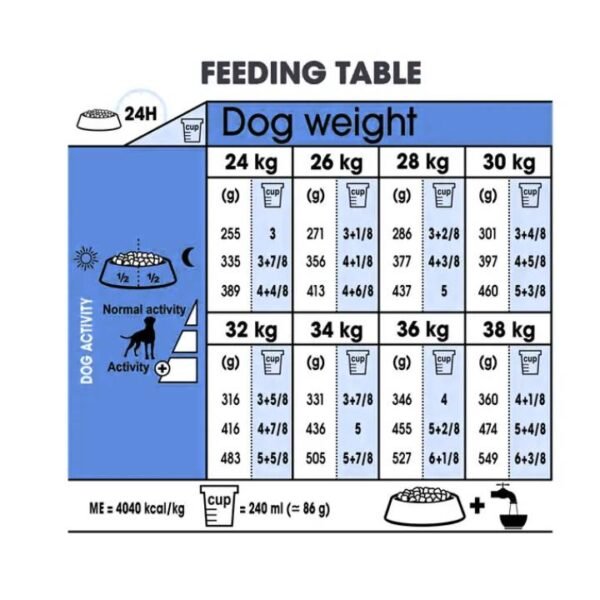 Boxer Adult Dry Food For Dog - Image 4