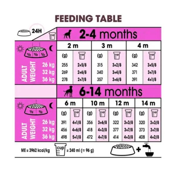 Boxer Puppy Dry Food For Dog - Image 2
