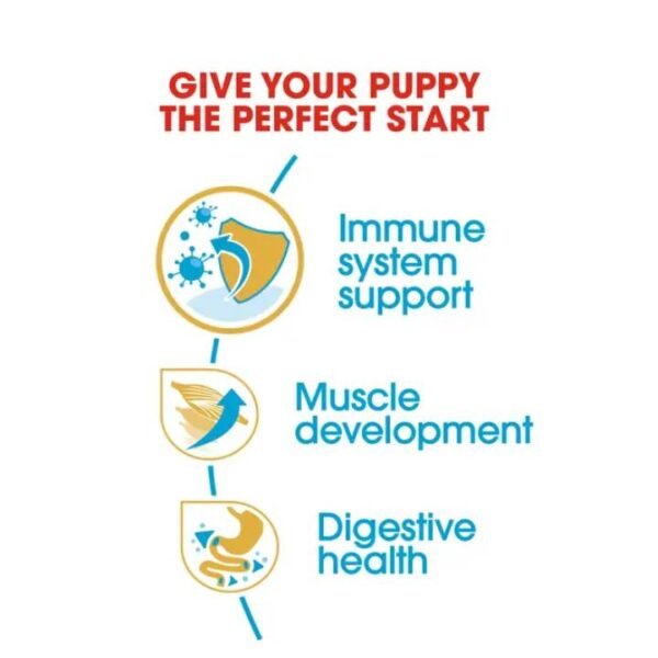 Boxer Puppy Dry Food For Dog - Image 3