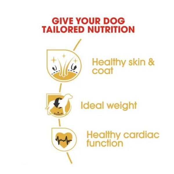 Cocker Adult Dry Food For Dog - Image 3