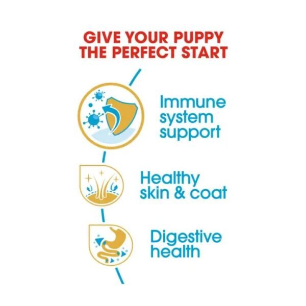 Cocker Puppy Dry Food For Dog - Image 3