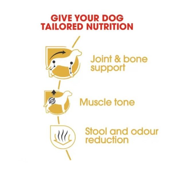Dachshund Adult Dry Food For Dog - Image 3