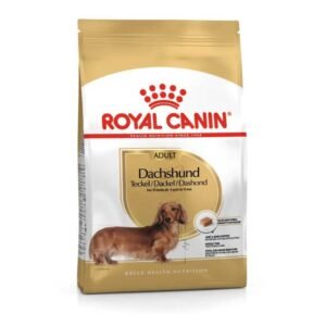 Dachshund Adult Dry Food For Dog