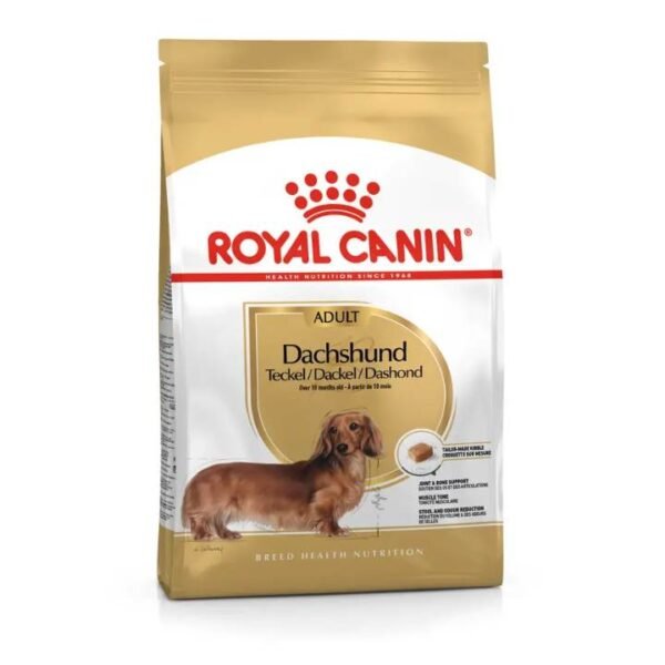 Dachshund Adult Dry Food For Dog