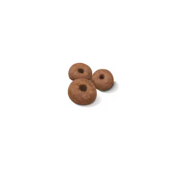 Giant Starter Dry Food For Dog - Image 2