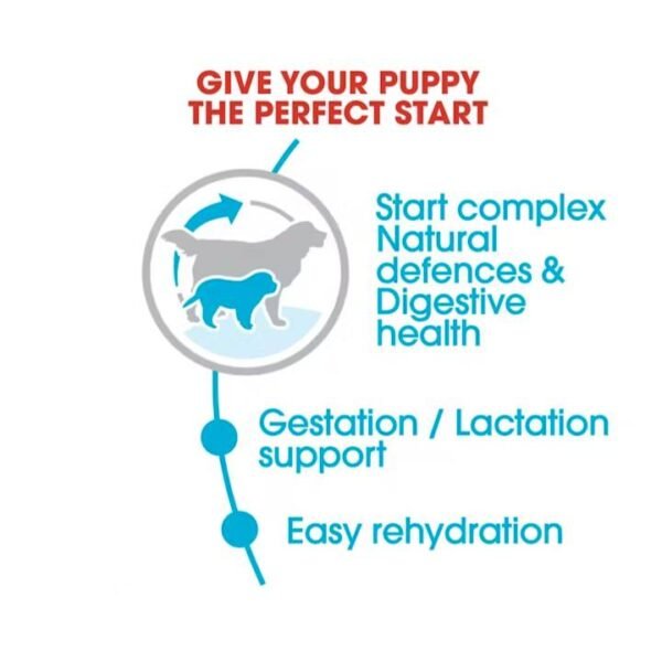 Giant Starter Dry Food For Dog - Image 3