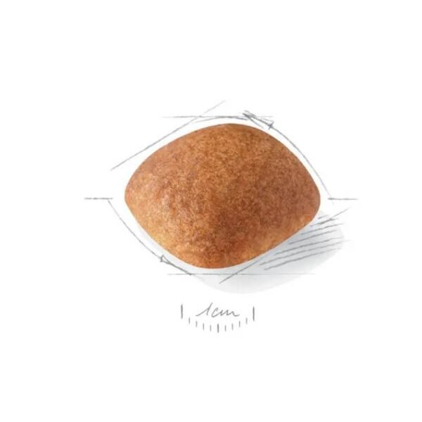 Golden Retriever Adult Dry Food For Dog - Image 2