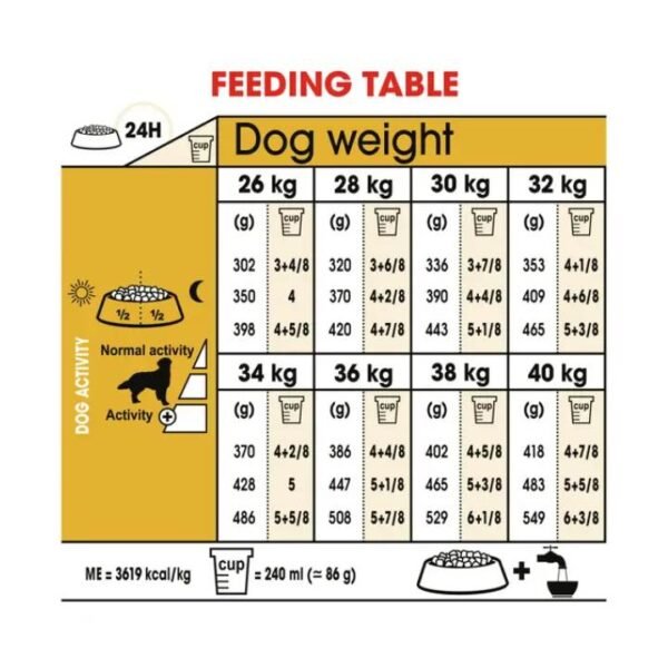 Golden Retriever Adult Dry Food For Dog - Image 4