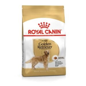 Golden Retriever Adult Dry Food For Dog