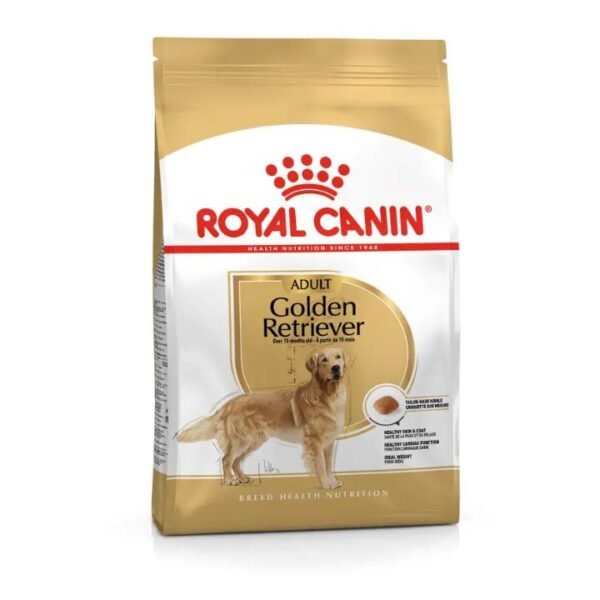 Golden Retriever Adult Dry Food For Dog