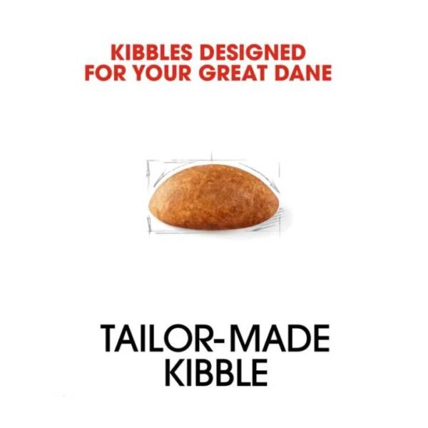 Great Dane Adult Dry Food For Dog - Image 2