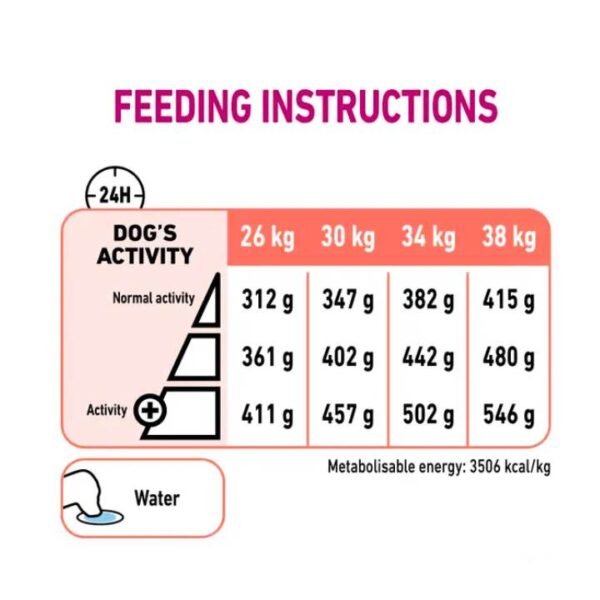 Labrador Retriever 5+ Dry Food For Dog - Image 4