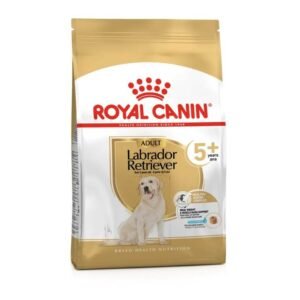 Labrador Retriever 5+ Dry Food For Dog