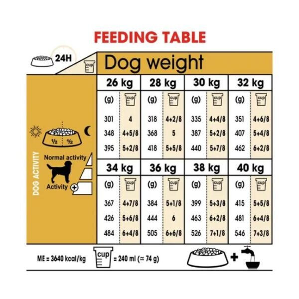 Labrador Retriever Adult Dry Food For Dog - Image 4