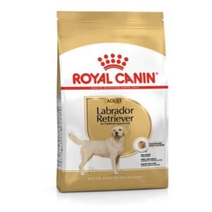 Labrador Retriever Adult Dry Food For Dog