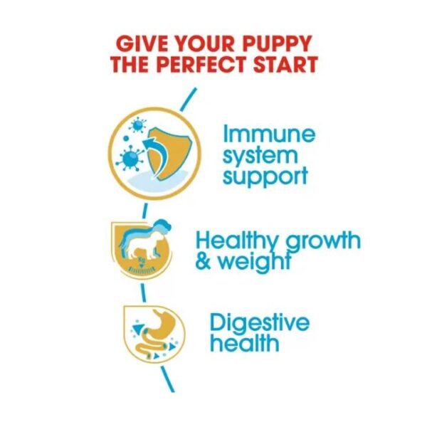 Labrador Retriever Puppy Dry Food For Dog - Image 3