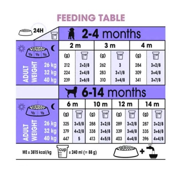 Labrador Retriever Puppy Dry Food For Dog - Image 4