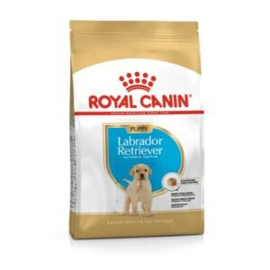 Labrador Retriever Puppy Dry Food For Dog
