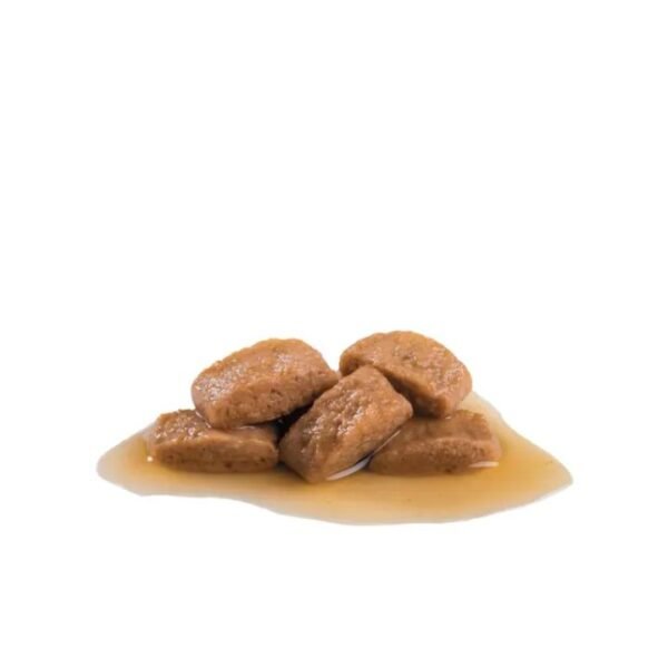 Maxi Adult Wet Food For Dog 140g - Image 2