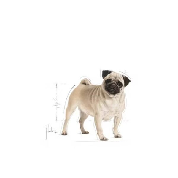 Pug Adult Dry Food For Dog - Image 3