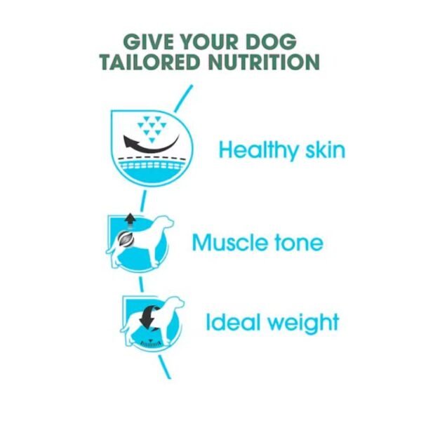 Pug Adult Dry Food For Dog - Image 4