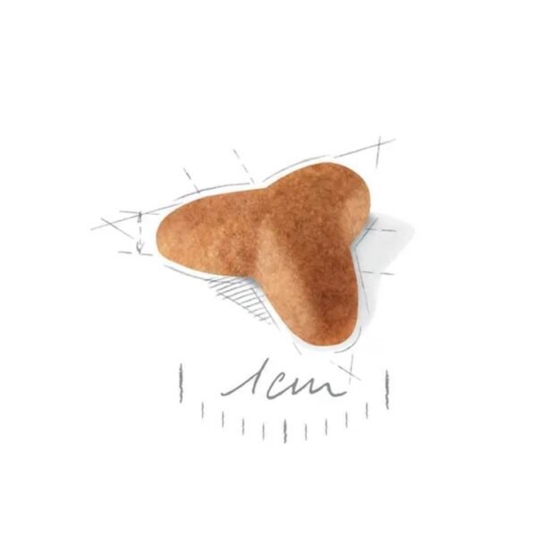 Pug Puppy Dry Food For Dog - Image 2