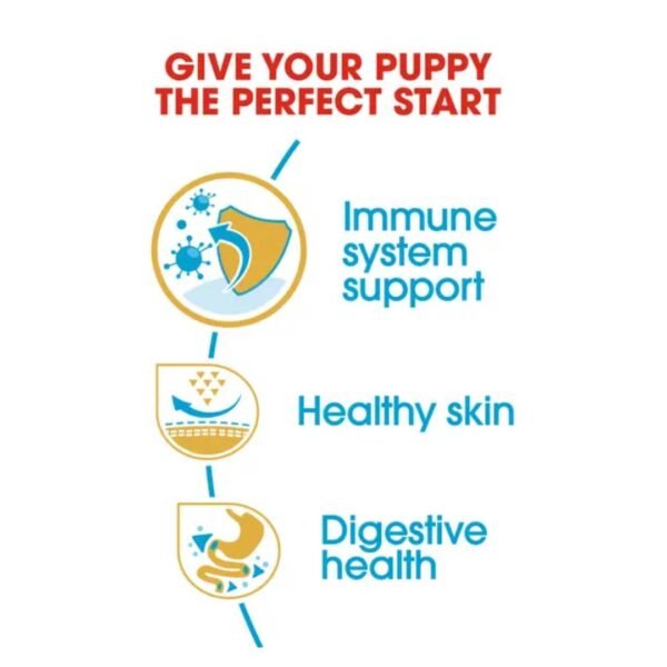 Pug Puppy Dry Food For Dog - Image 3