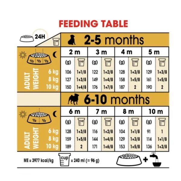 Pug Puppy Dry Food For Dog - Image 4