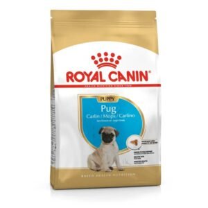 Pug Puppy Dry Food For Dog