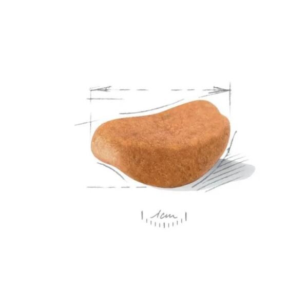 Rottweiler Adult Dry Food For Dog - Image 2