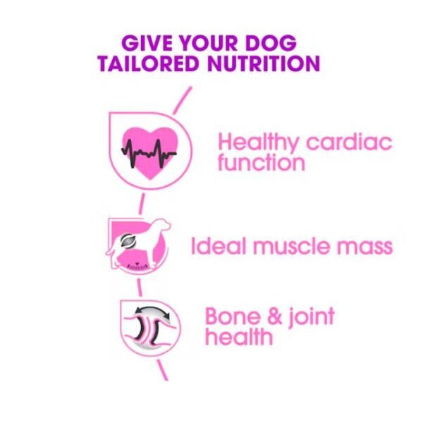 Rottweiler Adult Dry Food For Dog - Image 3
