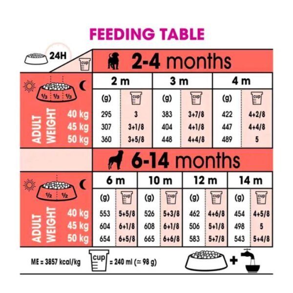 Rottweiler Puppy Dry Food For Junior Dog Food - Image 2
