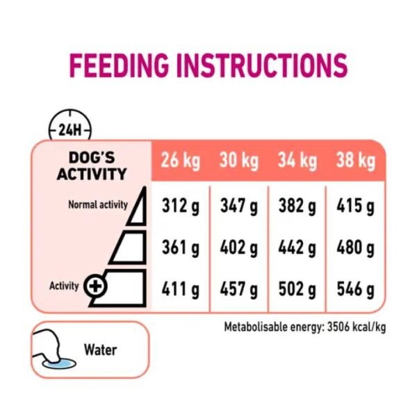 Royal Canin Dog Labrador Dry Retriever 5+ Adult Food 3kg - Image 2