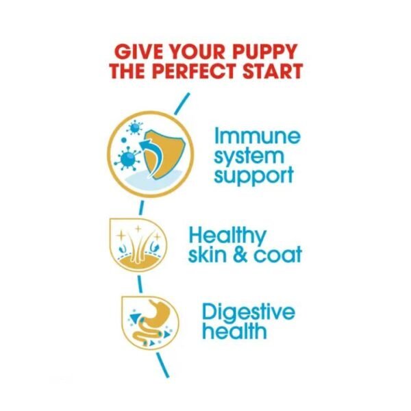 Royal Canin Golden Retriver Junior Dog Food, Meat Flavor - Image 2