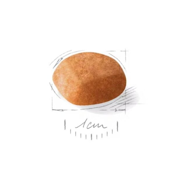 Royal Canin Golden Retriver Junior Dog Food, Meat Flavor - Image 3